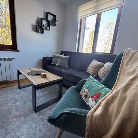 Mountain View Lux Apartament *