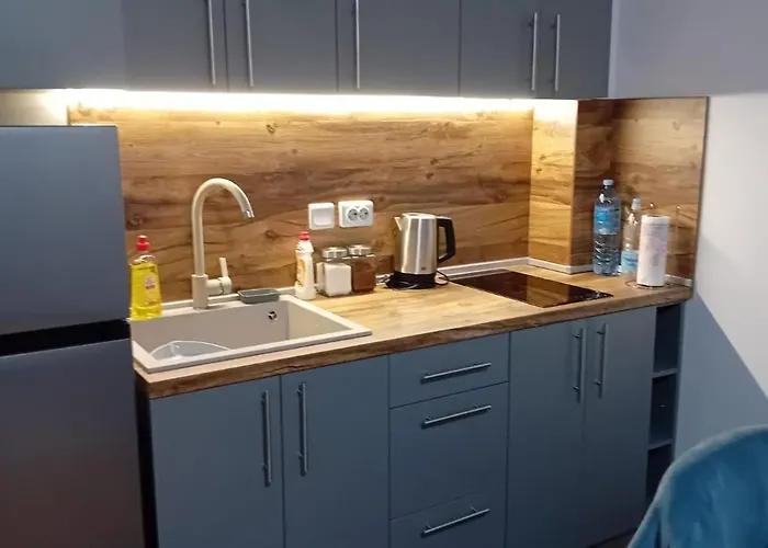 アパート Mountain View Lux バンスコ