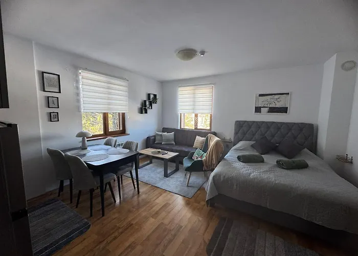 Mountain View Lux 公寓 *