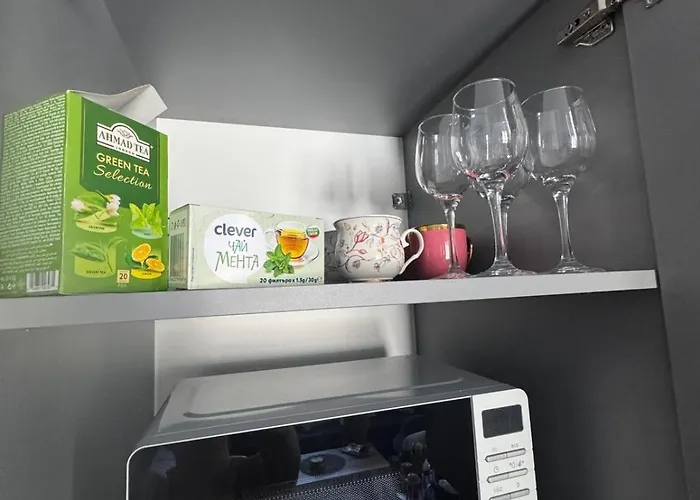 Mountain View Lux アパート バンスコ